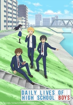 Daily Lives of High School Boys (Danshi Koukousei no Nichijou) (Dub)