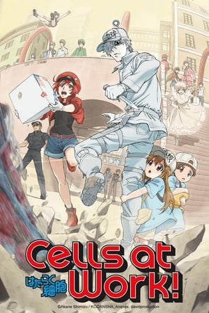 Hataraku Saibou (Cells at Work!) (Dub)