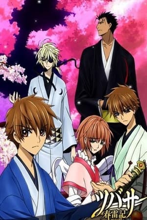 Tsubasa: Shunraiki (Dub)